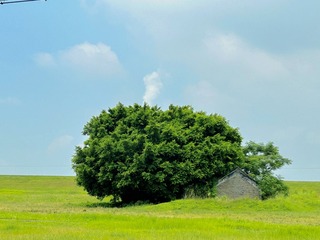 24A225A1-B9C7-4CFF-B16B-50D28E086706/L0/001