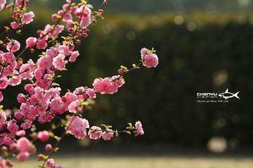 April008.jpg