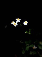 DD2E7771-A062-40BB-AE99-6C4D0AD4E6E3/L0/001