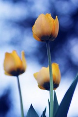 197F82EE-747C-4314-8C1E-2FE2DC6E7C69/L0/001