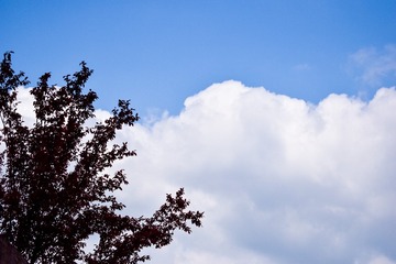 7334866A-C6EB-43F5-AF86-E13BB8C234BD/L0/001