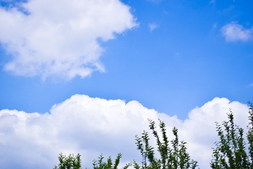 D5981252-68A6-497C-91D1-590372890B7E/L0/001