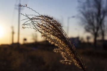 207