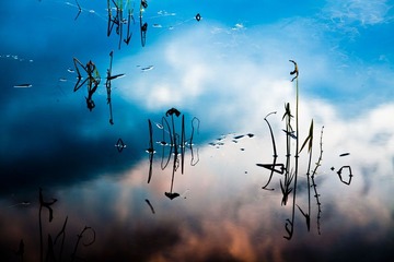 《深秋》12