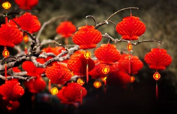 《福》