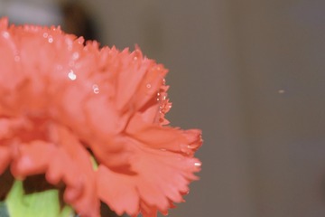 466B5AB3-2470-4EB1-B0F5-5AA6FDB6D90D/L0/001