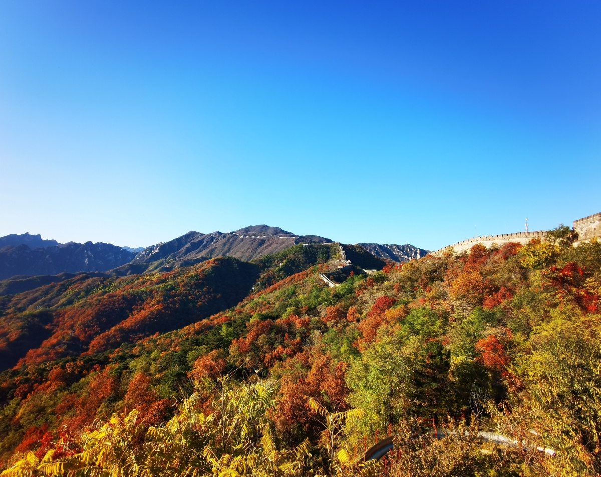 北京怀柔慕田峪长城秋景