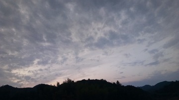 559