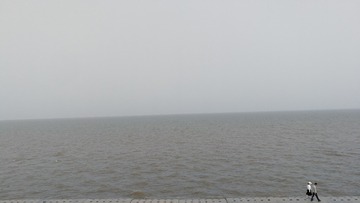1296015