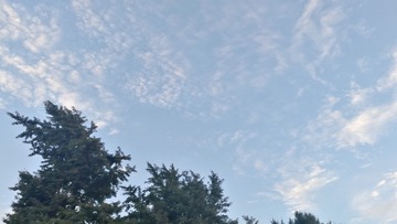 1285115