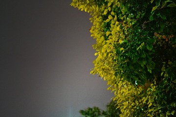 DD0BD6EE-24CF-4028-8326-EE909A6B5D8F/L0/001