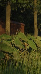 E730049E-BFA5-4925-B599-69D2D87C2442/L0/001