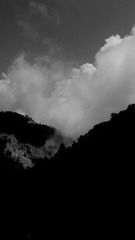 11835056-B33E-4275-A393-EB34B973AFA6/L0/001