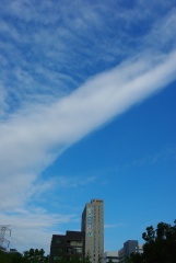 1000968251