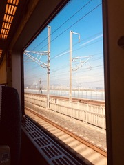 1000034356