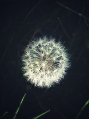 722B33B4-9F7A-413A-8FAA-13DE4269EF77/L0/001