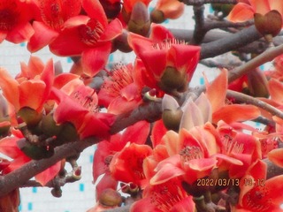 F5261CAD-EC82-49A8-9025-51735C6ED134/L0/001