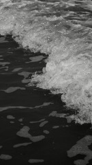 5A8C4A87-142C-4AE4-ADE8-CA0B09BC8B96/L0/001