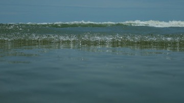 4463D51F-38B4-4EF8-B6D6-BC8D2185577C/L0/001
