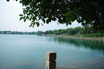 IMGP0058.JPG
