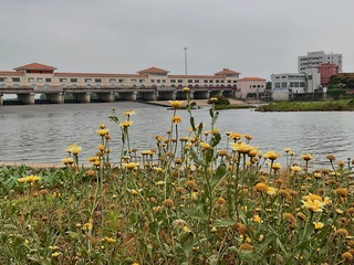 6A122811-92DF-4C0D-B182-1F6BD7097688/L0/001