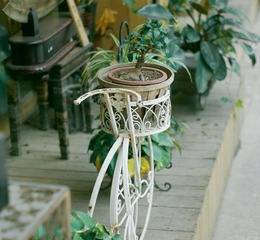 DSC01476.jpg