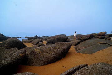 DSC03206.jpg