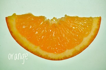 4810A1DF-51AB-4F5C-B122-F6E0B0696E3D/L0/001