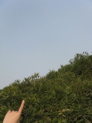 IMG_2561.JPG