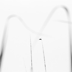 D87FC5BF-E634-4C0A-B08F-12F803C2958A