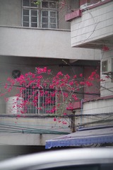 55A7F8F1-9726-44AE-9EC6-9534BFBAB836/L0/001