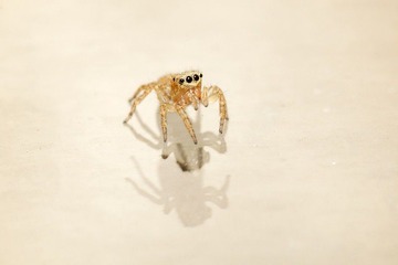 _MG_7405.jpg