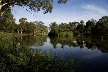 Chateau Yaldara 后院小湖