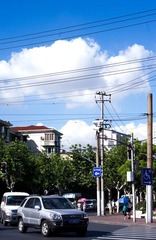 IMGP8590.jpg
