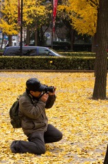 IMGP8696.jpg