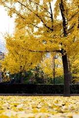 IMGP8718.jpg