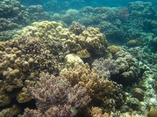 IMG_3689-22.jpg