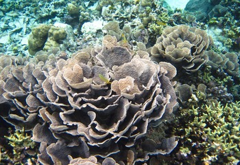 IMG_3677-14.jpg