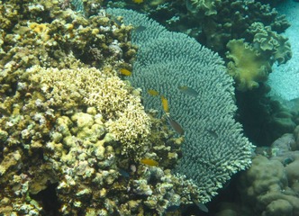 IMG_3658-2.jpg