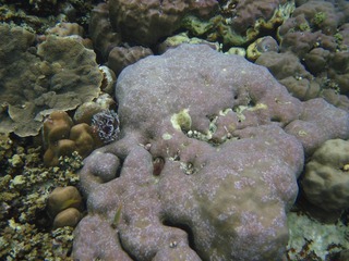 IMG_3675-12.jpg