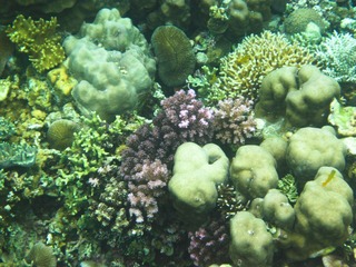 IMG_3661-5.jpg
