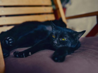 LNZ_0719.jpg
