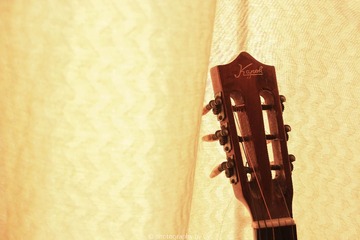 IMG_1384-1.jpg