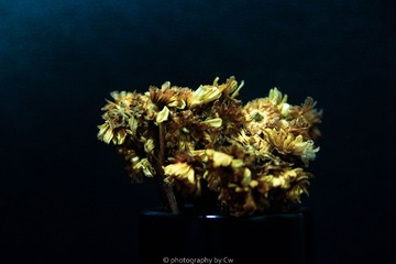 照片 004-1.jpg