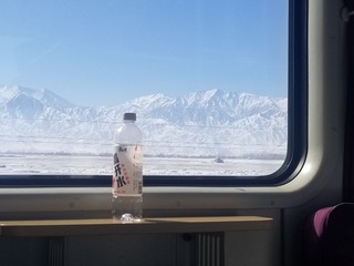 33065