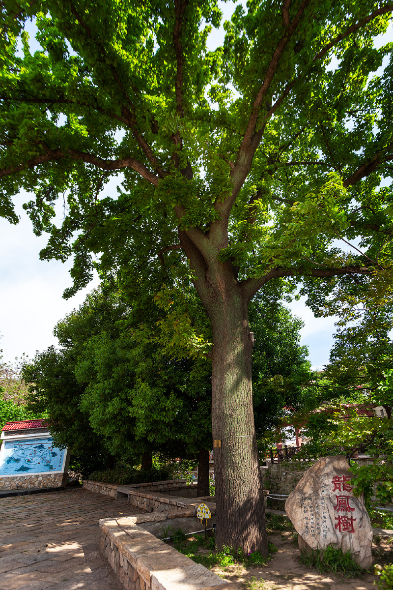 凰窝风景区是江苏省唯一集山海风光于一体的风景区,也是国家级风景区