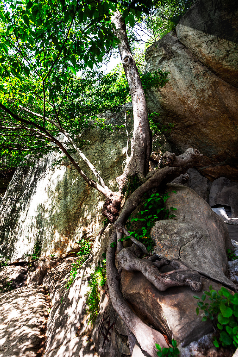 凰窝风景区是江苏省唯一集山海风光于一体的风景区,也是国家级风景区