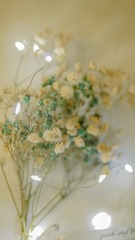 F4077D9A-FA87-4BCE-974A-506D4029FA24/L0/001