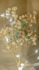 7F1D2CEF-1894-42F6-B10E-4E453AEA4098/L0/001