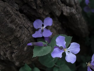 352FA805-B9B4-40CB-9676-BC5592F69855/L0/001
